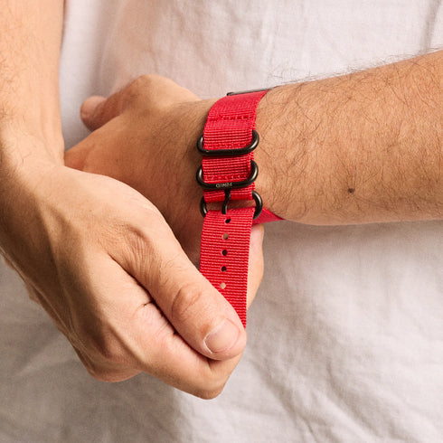 Windsor Watch